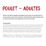 Croquettes pour Chiens Ownat Classic Complet avec Poulet