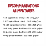 Croquettes pour Chiens Ownat Classic Complet avec Poulet