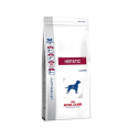Royal Canin Veterinary Diets-Hépatique HF 16 (1)