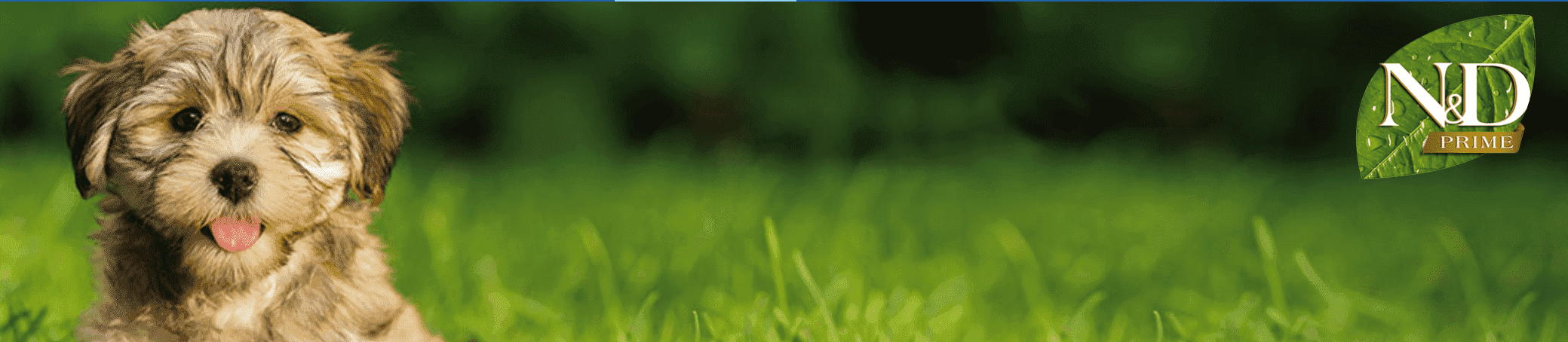 GRAIN_FREE_FARMINA-min (1).png