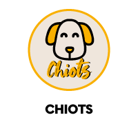 Piensos sin cereales para perros