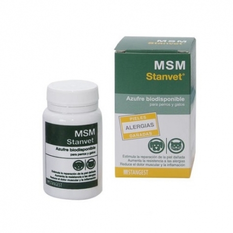 Stangest-MSM pour Chien et Chat (1)