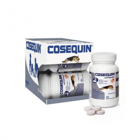 Ecuphar-Cosequin HA+MSM Advanced pour Chien (2)