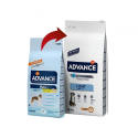 Affinity Advance-Light Grandes Races (2)