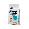 Affinity Advance-Chiot Petites Races (1)