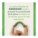 Greenie Pack Original Medium pour Chien
