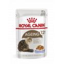 Royal Canin-Aeging +12 Pouch ( Jelly) 85 gr (1)