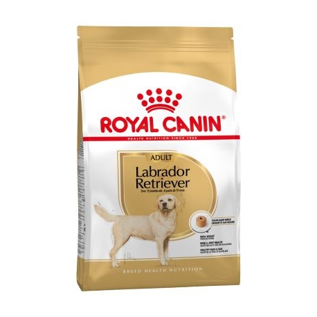 Royal Canin-Croquettes pour Labrador Retriever Adulte (1)