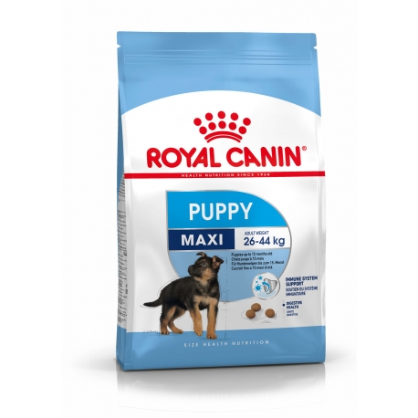 Royal Canin-Croquettes Maxi Junior Chiots Grandes Races (1)