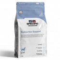 Specific-CED Endroquine Support (1)