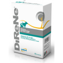 Direne spulemento para insuficiencia renal perros y gatos