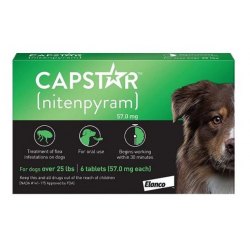 Elanco-Capstar pour Chiens Grandes. (1)