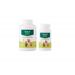 Stangest-Biotin B Complex pour Chien et Chat (1)