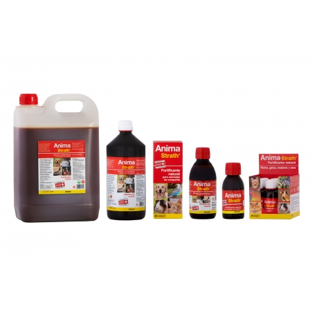 Stangest-Fortifiant Naturel Thim pour Chien et Animaux de Compagnie (1)