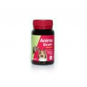 Stangest-Fortifiant Naturel pour Chien et Chat (1)