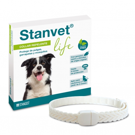 Stangest-Collier Insecticide Répulsif pour Chien (1)
