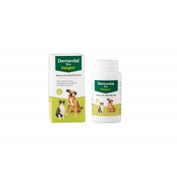 Stangest-Dermovital Zinc pour Chien et Chat (1)