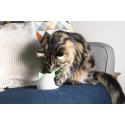 Concentrador Hub Para Vincular Producto Sure Petcare Connect