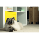 Concentrador Hub Para Vincular Producto Sure Petcare Connect