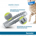 Bayer-Serestro Collier Antiparasitaire Chat (1)