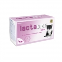 Lactadiet Calostrum pour Chat (6)