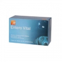 JTPharma-Entero Vital pour Chien et Chat (1)