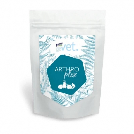 Bunny Suplemento Alimenticio GoVet Arthroplex 325 g