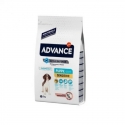 Affinity Advance-Chiot sensible Saumon et Riz (1)