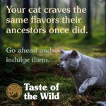 Croquettes Wild Rocky Mountain Feline Formula