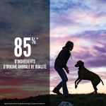 Croquettes Orijen sans céréales pour chiots de grande taille