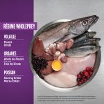 Croquettes Orijen sans céréales pour chiots de grande taille