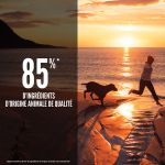 Croquettes Orijen Fit&Trim pour chiens adultes au poulet