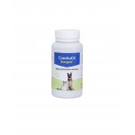 Stangest-Condrocit pour Chien et/ou Chat (1)