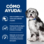 Hills Prescription diet On Care pienso para perros