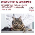Royal Canin Veterinary Diets Sensitivity Control Pack de Comida Húmeda para gatos de Pollo