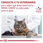 Royal Canin Veterinary Diets Kitten Gastro Intestinal Pack de Comida Húmeda para gatitos