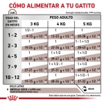 Royal Canin Veterinary Diets Kitten Gastro Intestinal Pack de Comida Húmeda para gatitos