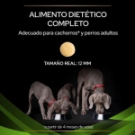 Purina Veterinary Diets-Croquettes HA Hypoallergénique pour (1)