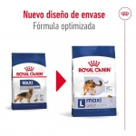 Maxi Adulte Grandes Races (10)