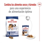 Maxi Adulte Grandes Races (10)