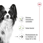 Royal Canin-X-Small Vieillissement +12 Races Miniatures (1)
