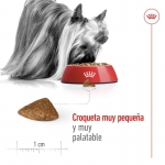 Royal Canin-X-Small Vieillissement +12 Races Miniatures (1)
