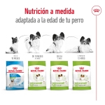 Royal Canin-X-Small Vieillissement +12 Races Miniatures (1)