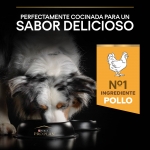 Purina Pro Plan-OptiWeight Adulte Light pour Chien Stérilisé (1)