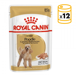 Pack x12 Royal Canin Poodle sachets de nourriture humide pour chiens adultes