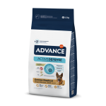 Affinity Advance-Berger Allemand Adulte (1)