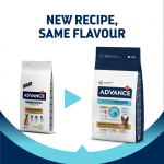 Affinity Advance-Berger Allemand Adulte (1)