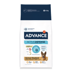 Affinity Advance-Berger Allemand Adulte (1)