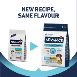 Affinity Advance-Chiot sensible Saumon et Riz (1)