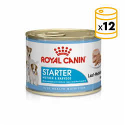 Royal Canin Dog Starter Mousse alimentation humide pour chiots et mères allaitantes